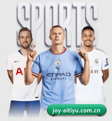 了解平台 - 体育资讯内容服务（iQIYI Sports）